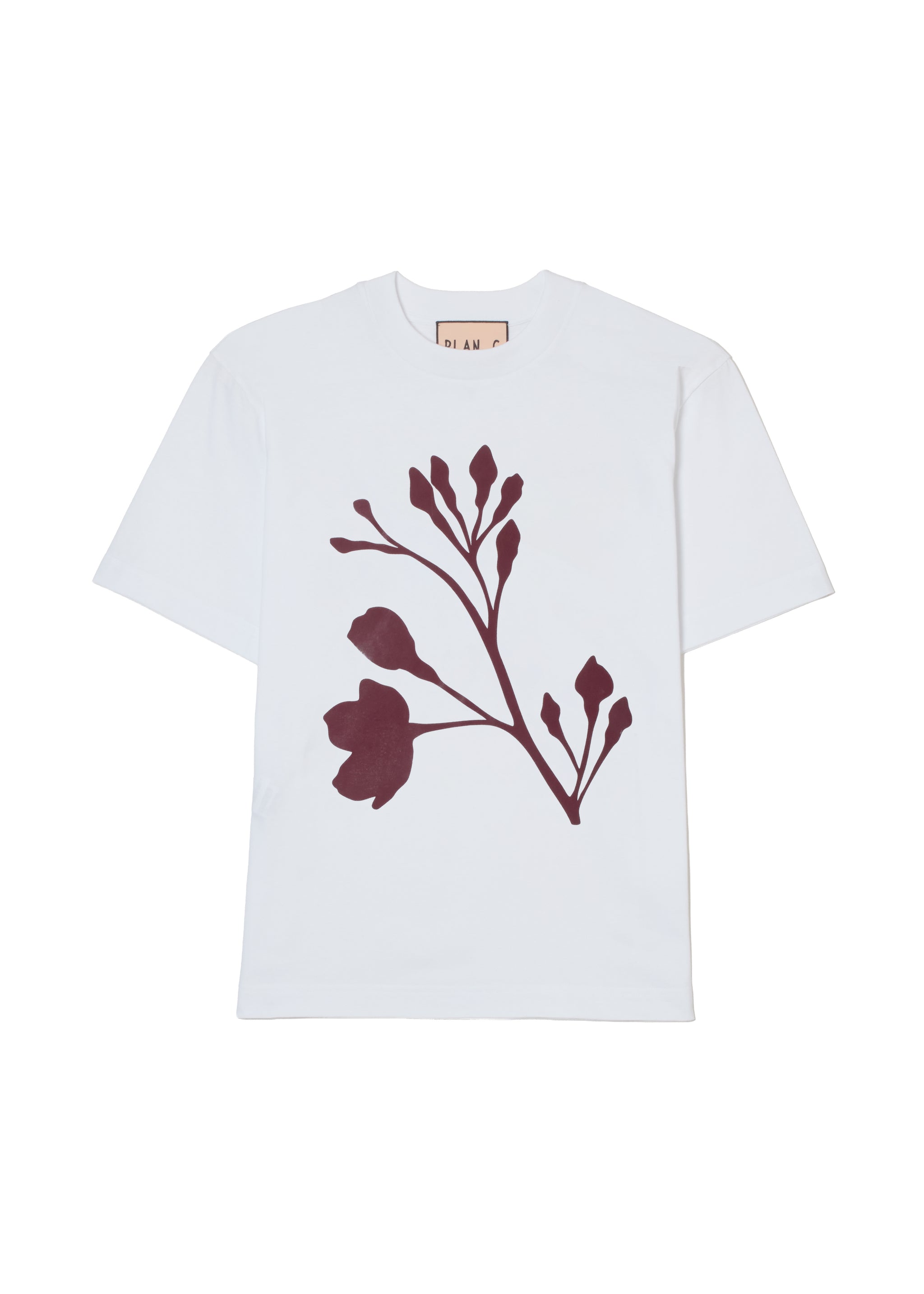Tシャツ＆スウェット |【Plan C】プラン シー公式オンラインストア