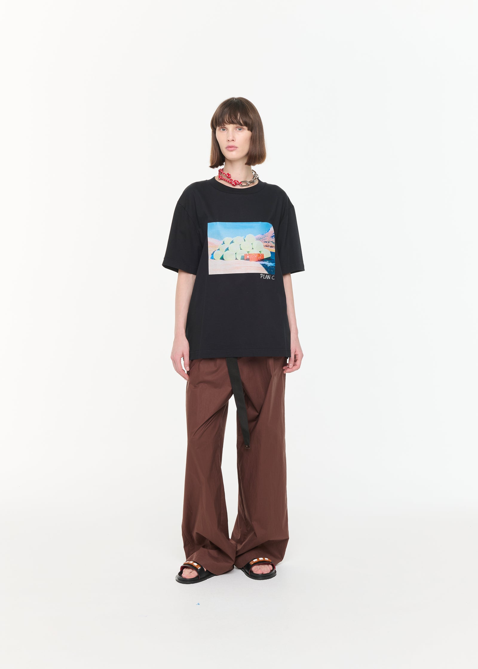 干し草プリントTシャツ