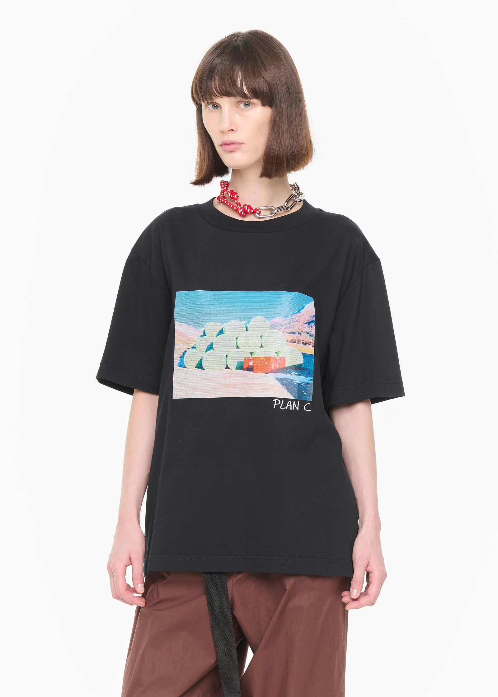 干し草プリントTシャツ