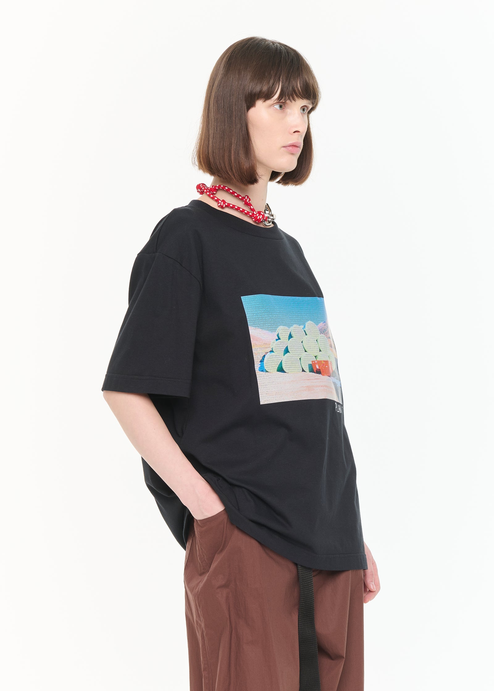 干し草プリントTシャツ